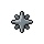 Cutter Star