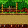 Preserved Forest | Nature Type