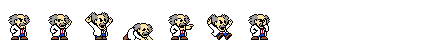 dr-wily