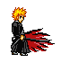 BANKAI , TENSA ZANGETSU !
